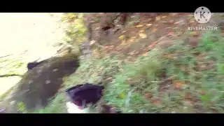 اح ولدقحبة قاليا نمشيو غابة نضورو هو يقيم عليا حواني تماك🥵محني ولدواسعة ،سكس مغربي فالغابة🔥🇲🇦