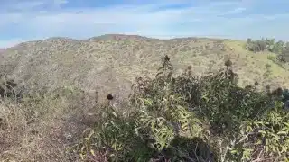 Lily Phillips Fucks Stranger In Public